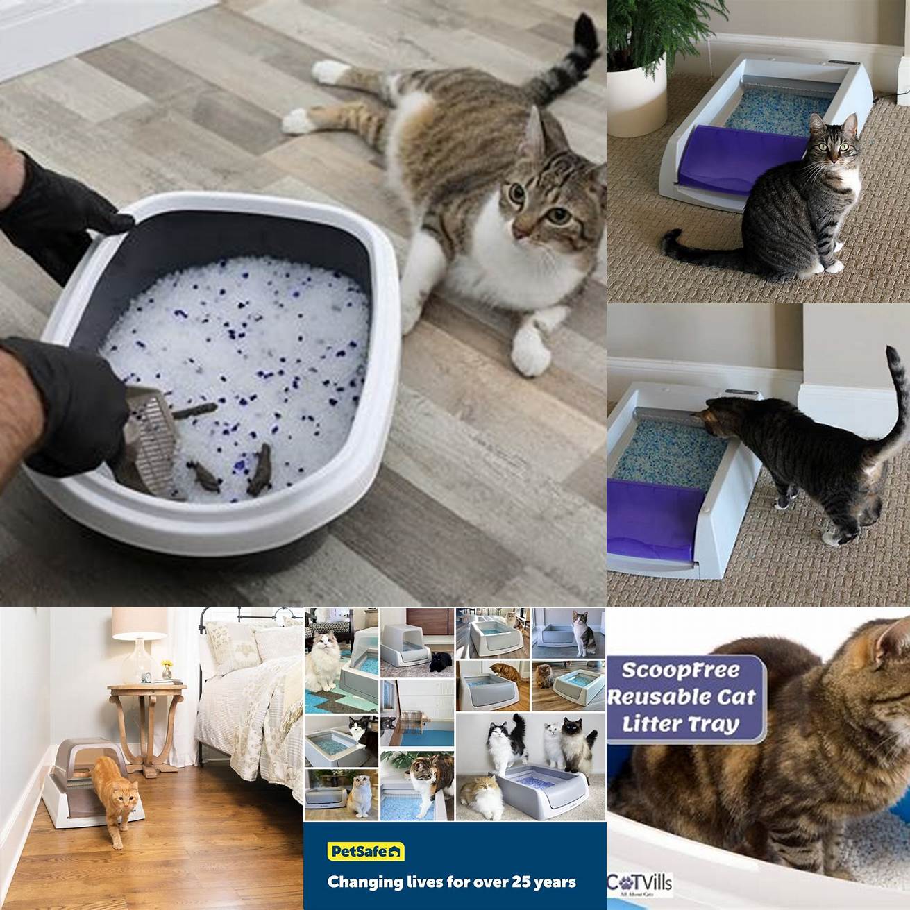 Reusable Cat litter can be reused multiple times during the cleanup process