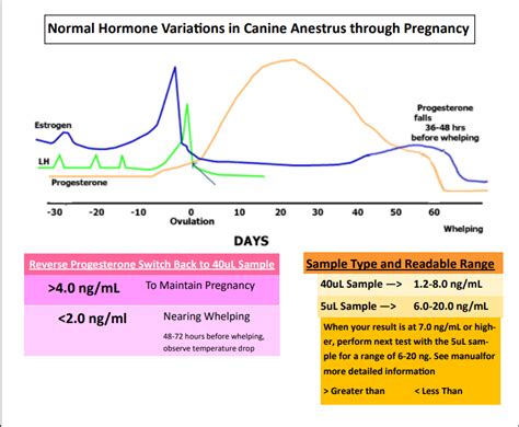 Reverse Progesterone Levels Chart