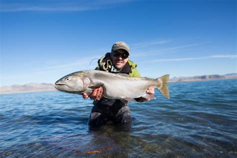 Rocky Mountains Fishing Report