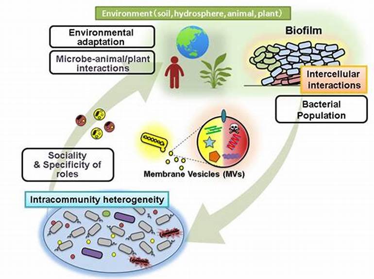 Role of Viruses and Bacteria in the Ecosystem