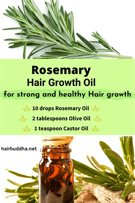 Rosemary Oil for Hair