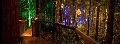 Redwoods Night Walk