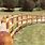 Round Rail Wood Fence