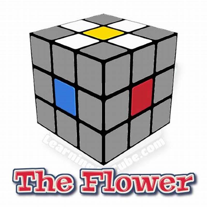 Rubik S Cube Flower Pattern Algorithm