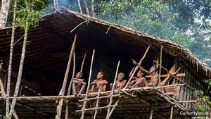 Discovering the Traditional Houses of the Korowai Tribe in Indonesia