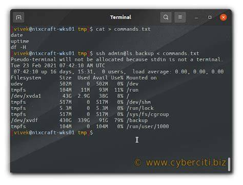 Run ssh and immediately execute command duplicate