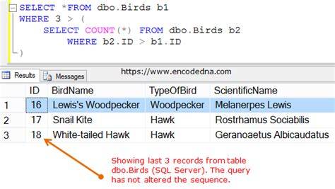 SQL query to find record with ID not in another table