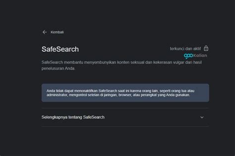 Safesearch tidak membuka pengaturan sistem operasi