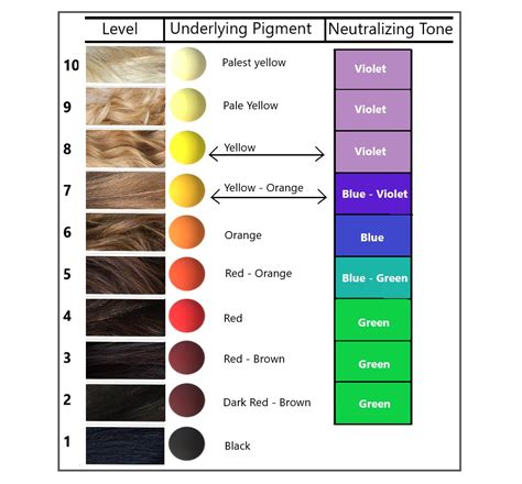 Sallys Toner Chart