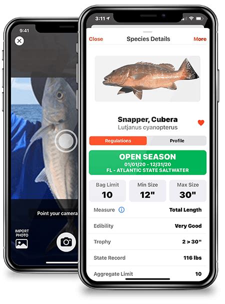 Saltwater Fish Identifier Apps