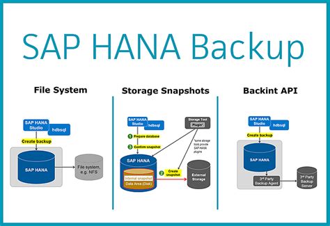Sap Hana Could Not Fetch Backup Catalog