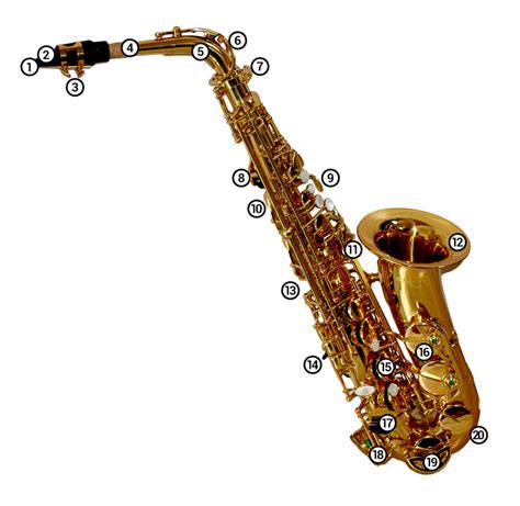 Saxophone