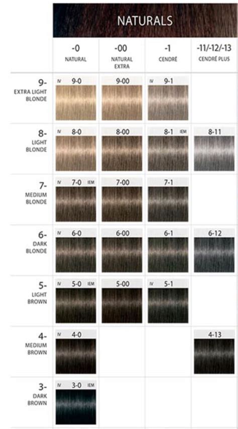 Schwarzkopf 10 Minute Color Chart