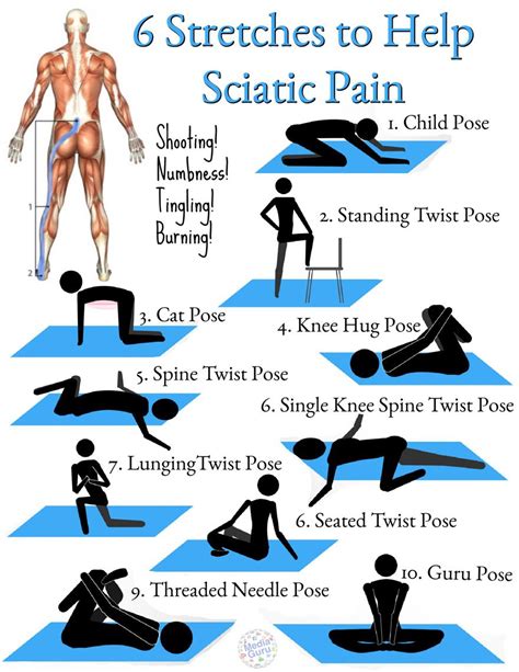 Sciatica Exercises For Seniors Printable