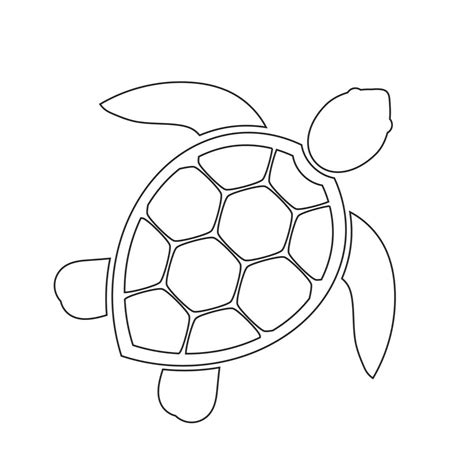 Sea Turtle Templates