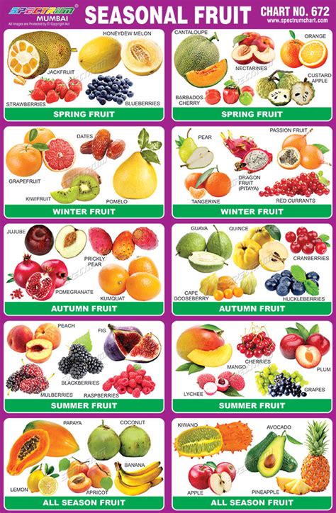 Seasonal Fruits Chart
