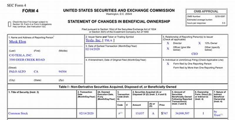 Sec Form 4 Transaction Code P Meaning