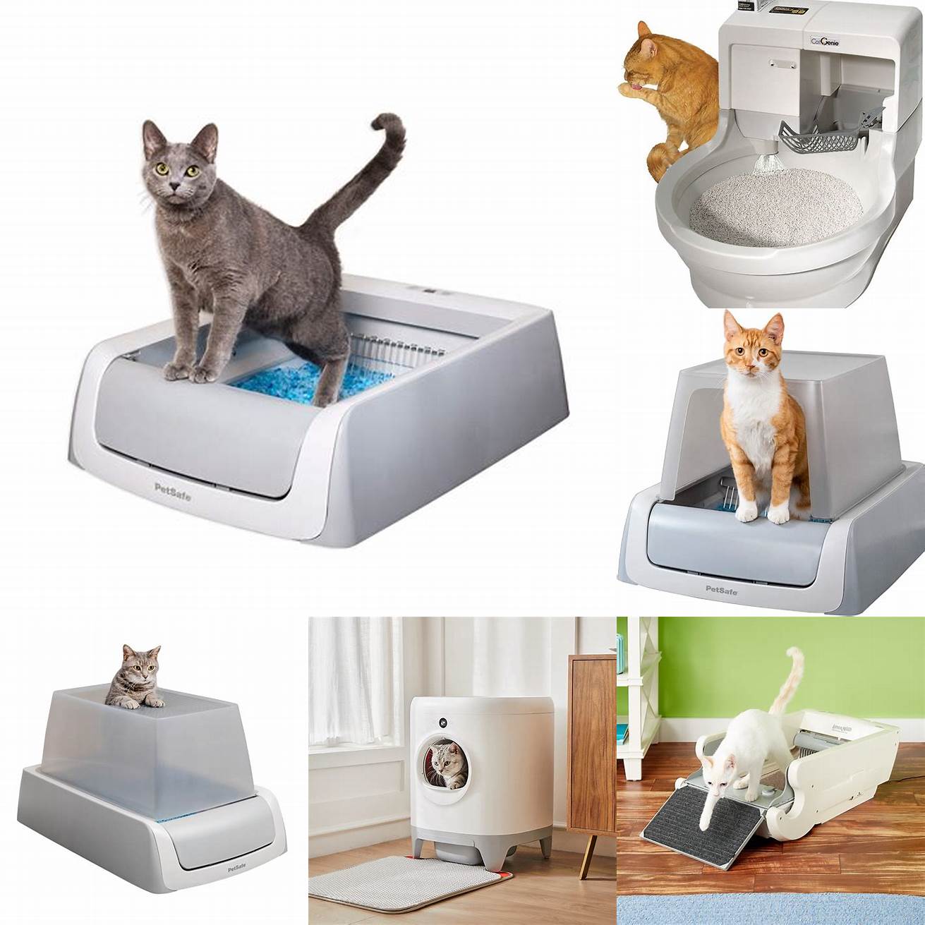 Self-Cleaning Litter Box