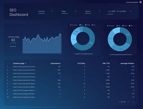 Seo Dashboard Template