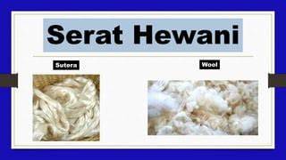 Serat Hewani