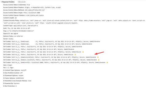 Set cookies for cross origin requests
