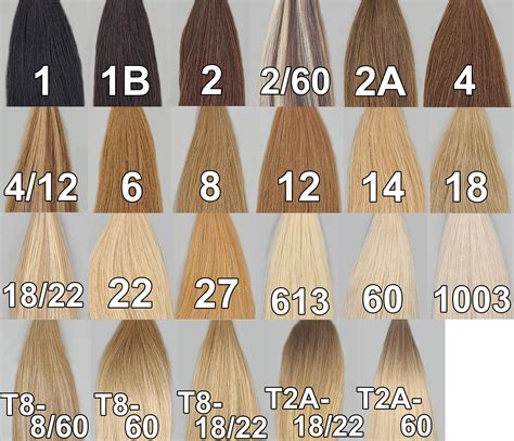 Shades Of Hair Color Chart