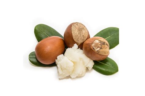 Shea Butter