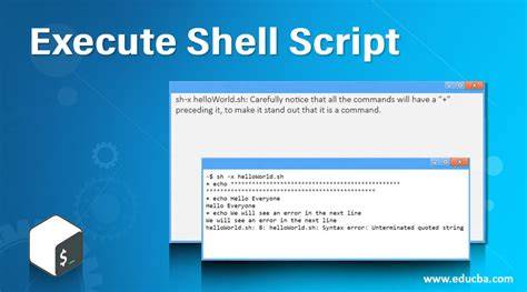 Shell Script Execute a python program from within a shell script