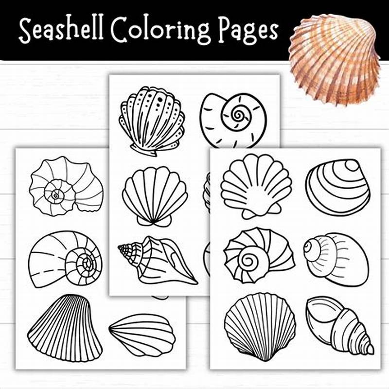Shell Template Printable