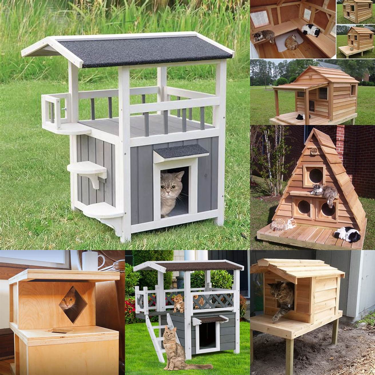 Simple Cat House