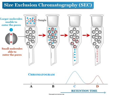 Size-Exclusion Chromatogra… 