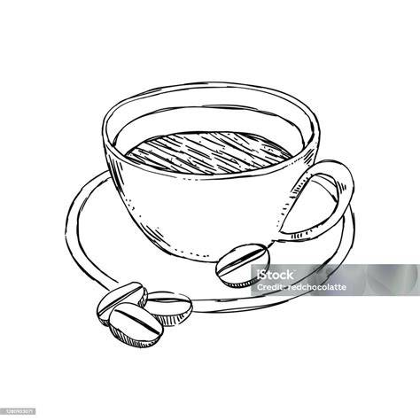 Sketsa Cangkir