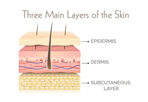 Skin Thickness Chart