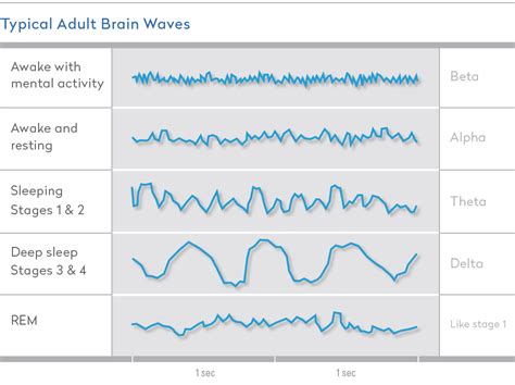 Sleep Cycle Wave