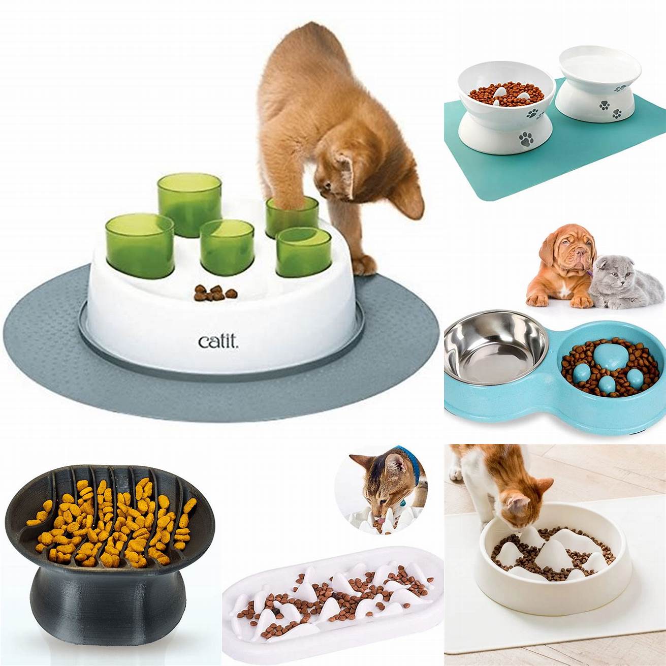 Slow feeder bowls These bowls have ridges or obstacles that make it more difficult for cats to eat their food quickly