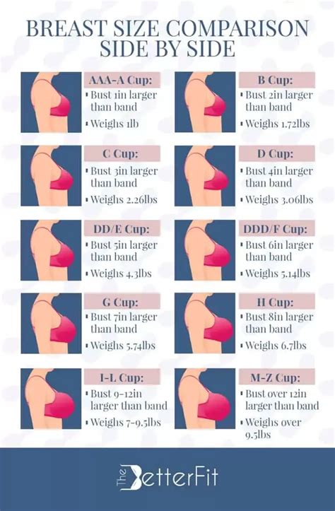 Small Breast Size Chart