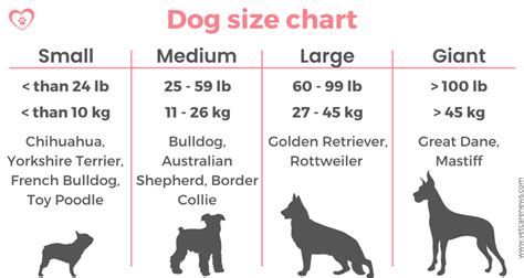 Small Medium Large Dog Size Chart