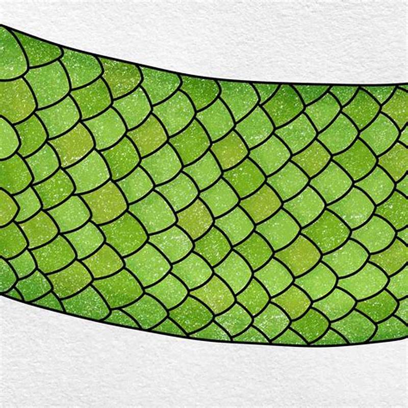 Snake Pattern Drawing