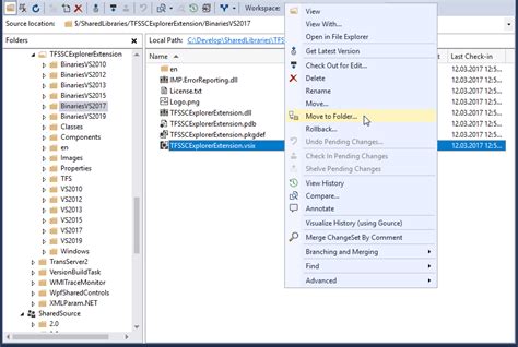 Source Control Explorer in Visual Studio