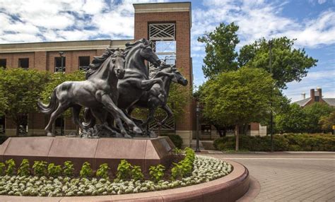 Southern Methodist University Course Catalog