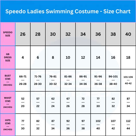 Speedo Swimsuit Size Chart Female