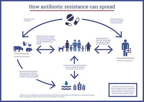 Spread of Antibiotic Resistance