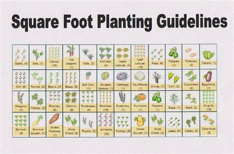 Square Foot Garden Spacing Chart