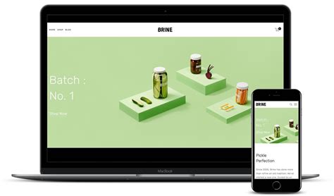 Squarespace Brine Template