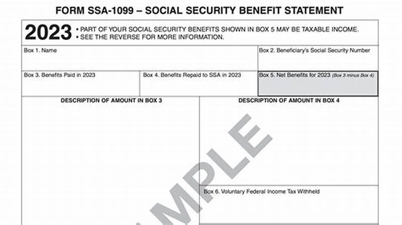Ssa 1099 Form Example