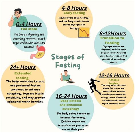 Stages Of Fasting Chart