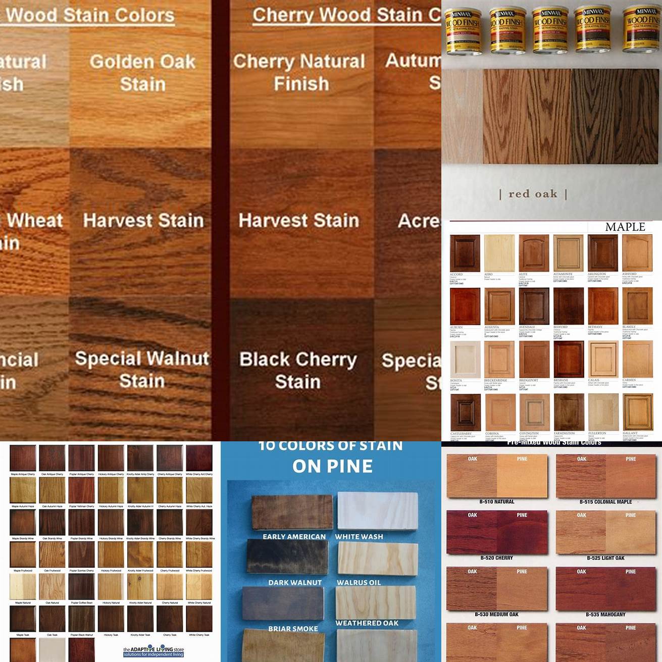 Staining in different colors
