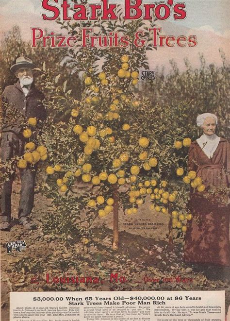 Stark Brothers Fruit Tree Catalog