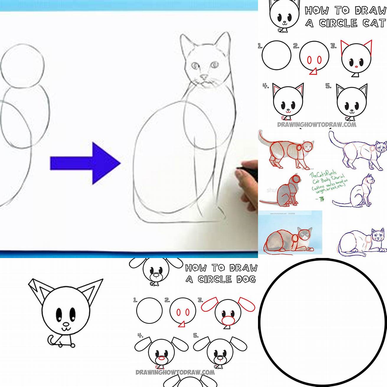 Step 1 Draw a large circle for the head and a smaller circle for the body