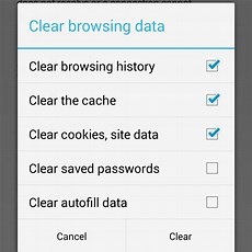 Step 4: Select Browsing Data to Clear